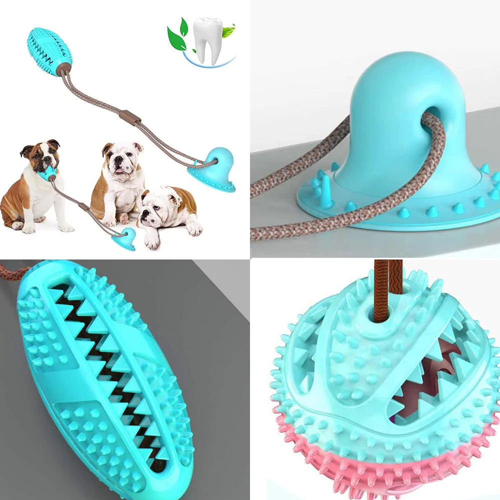 Pet Dog Toys Silicon Suction Cup sold by Poopy and Poops General Pet Store poppyandpoops.ca