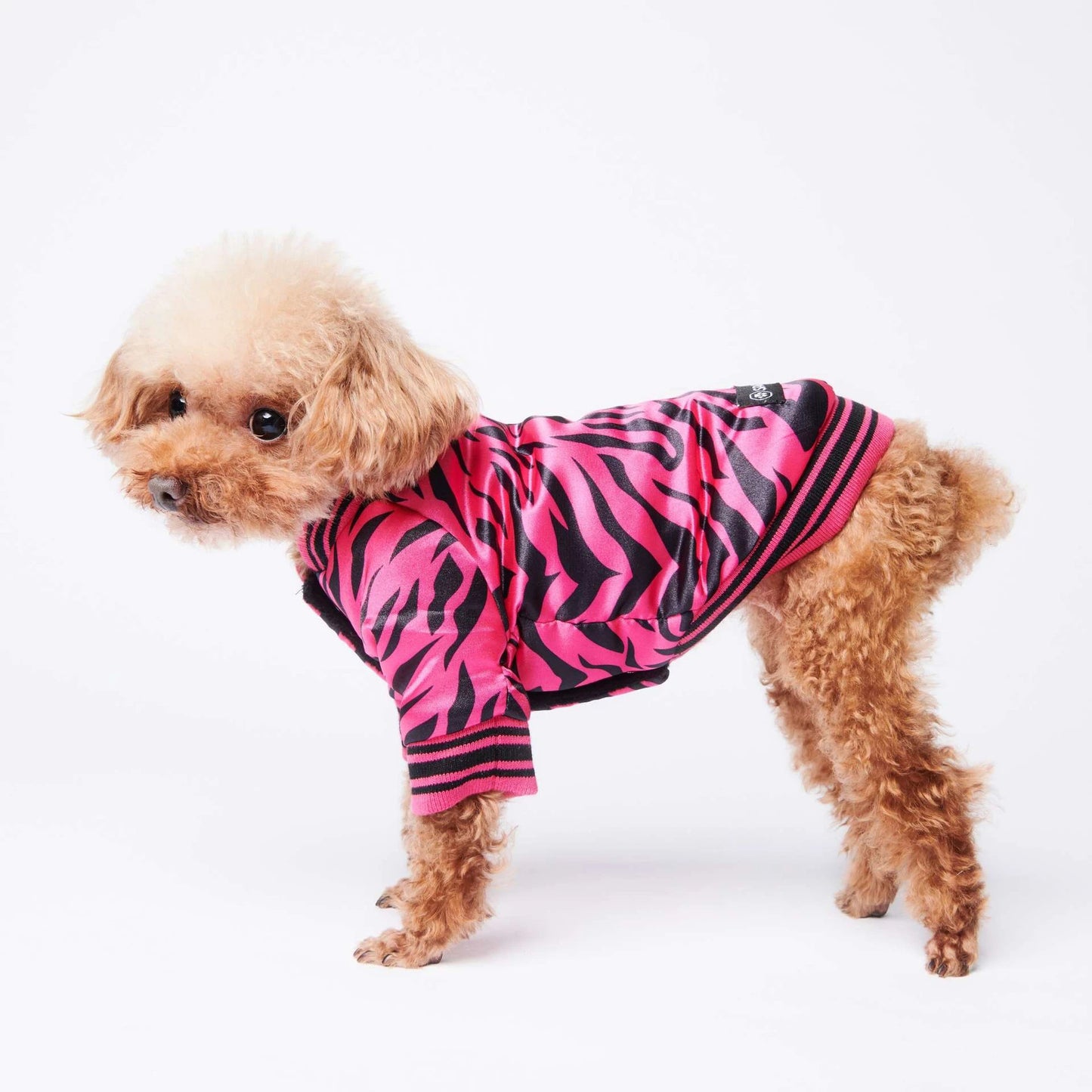 Cotton Pink Zebra Dog Jacket