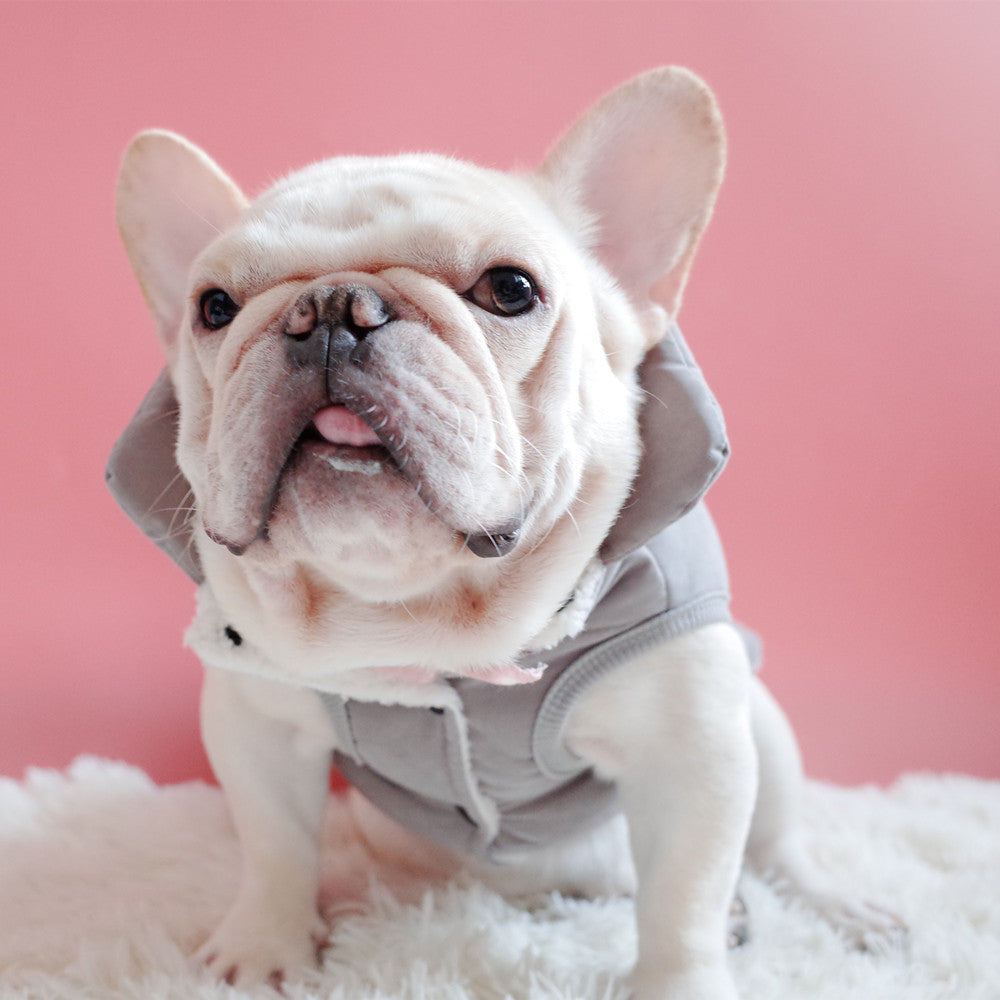 Autumn Cotton Pet Dog Vest in Dark Green Navy Blue And Gray