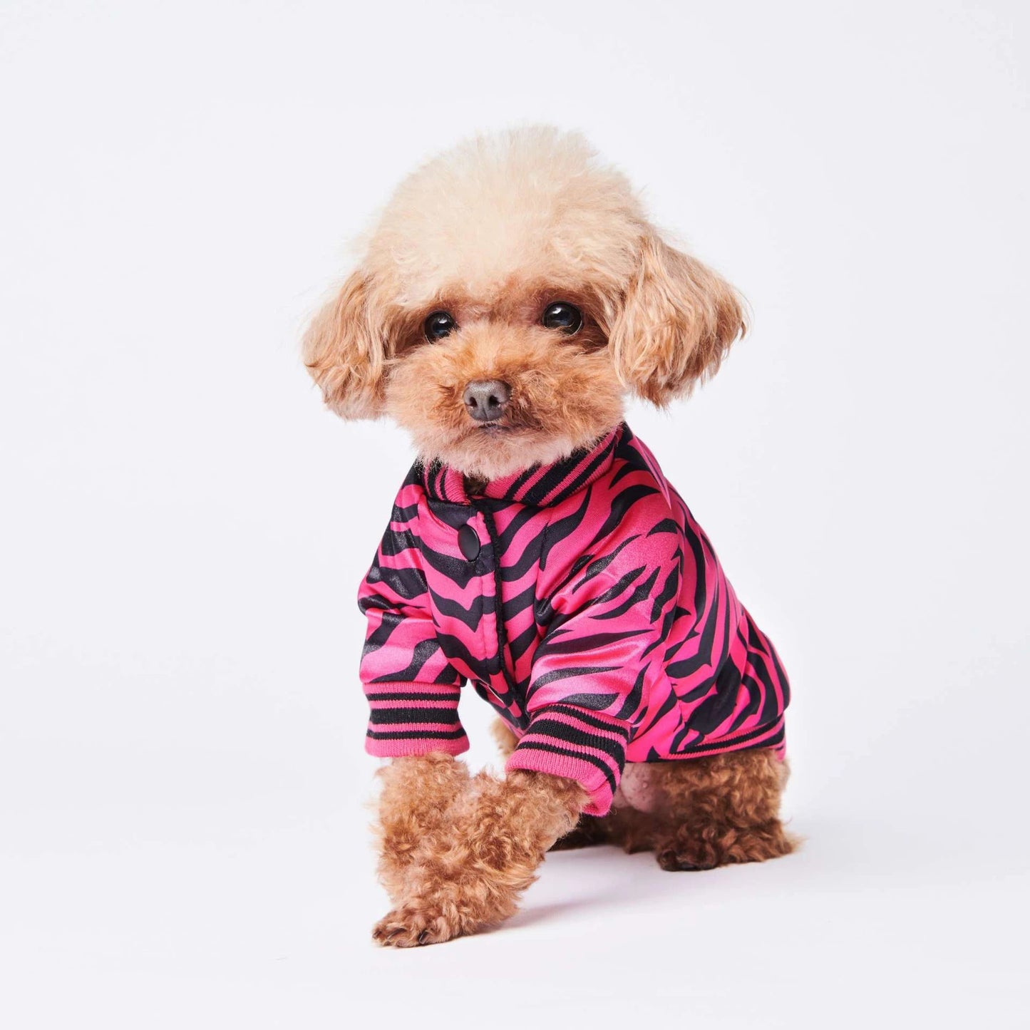 Cotton Pink Zebra Dog Jacket