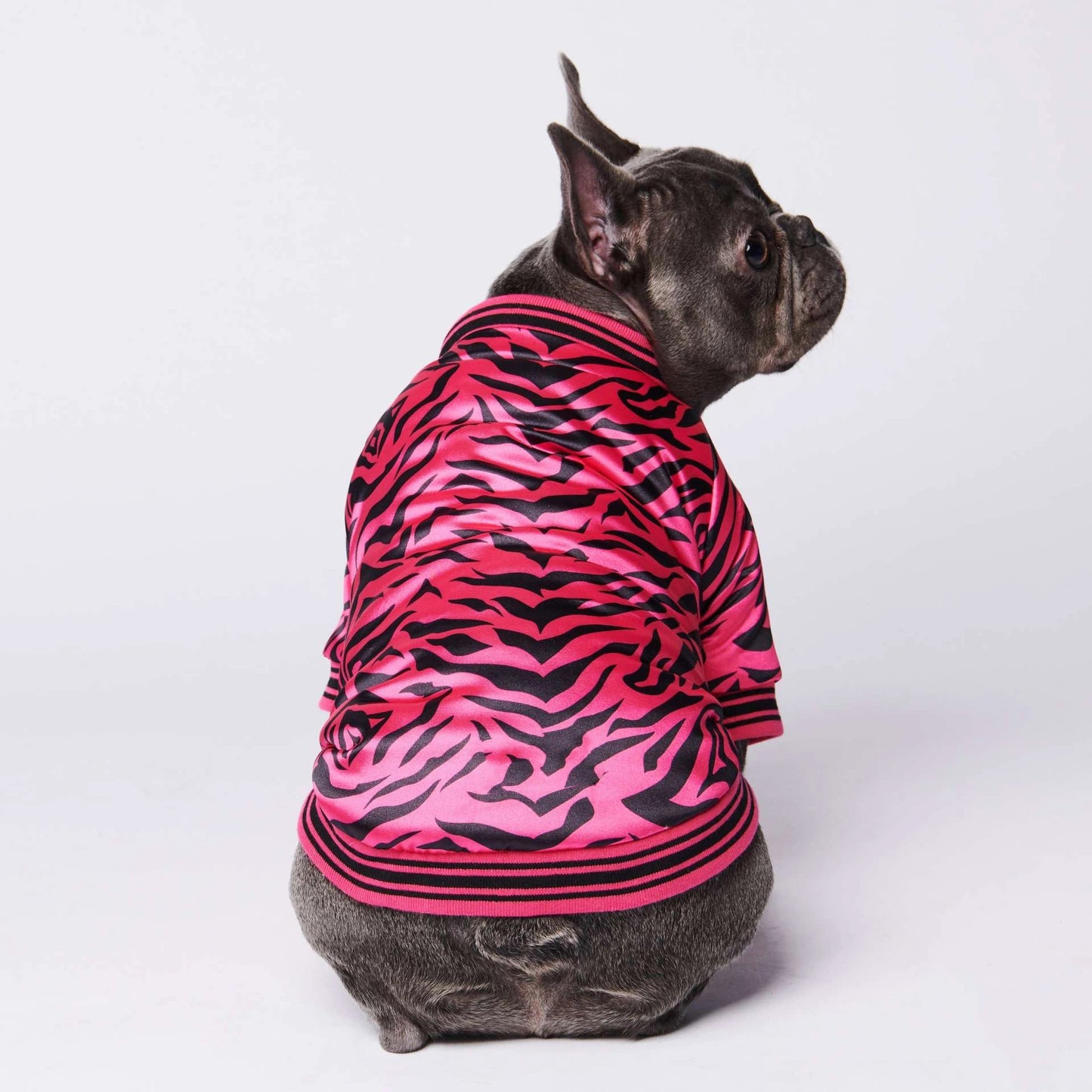 Cotton Pink Zebra Dog Jacket