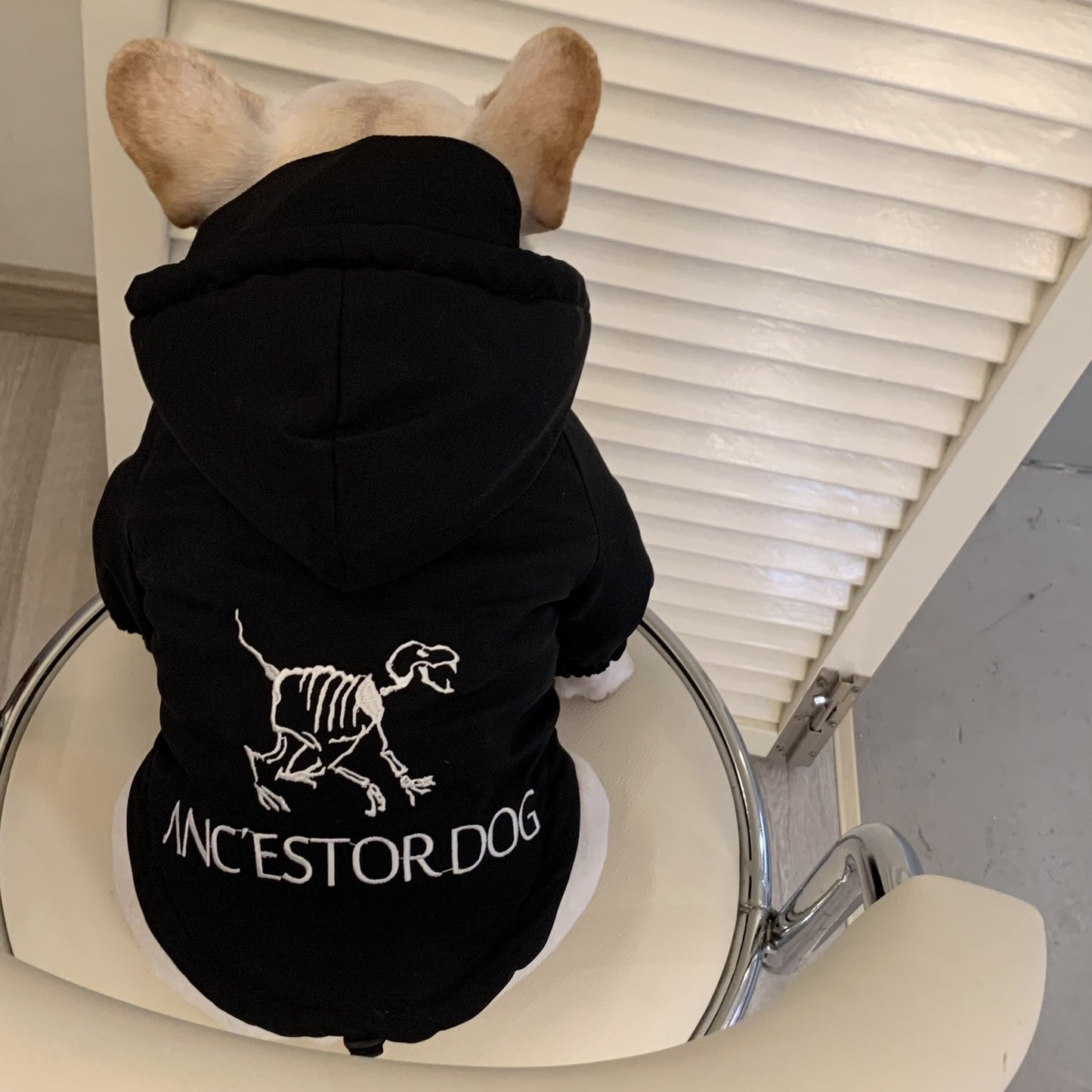 Warm Cotton Winter Anc'estordog Hooded Dog Jacket in Black