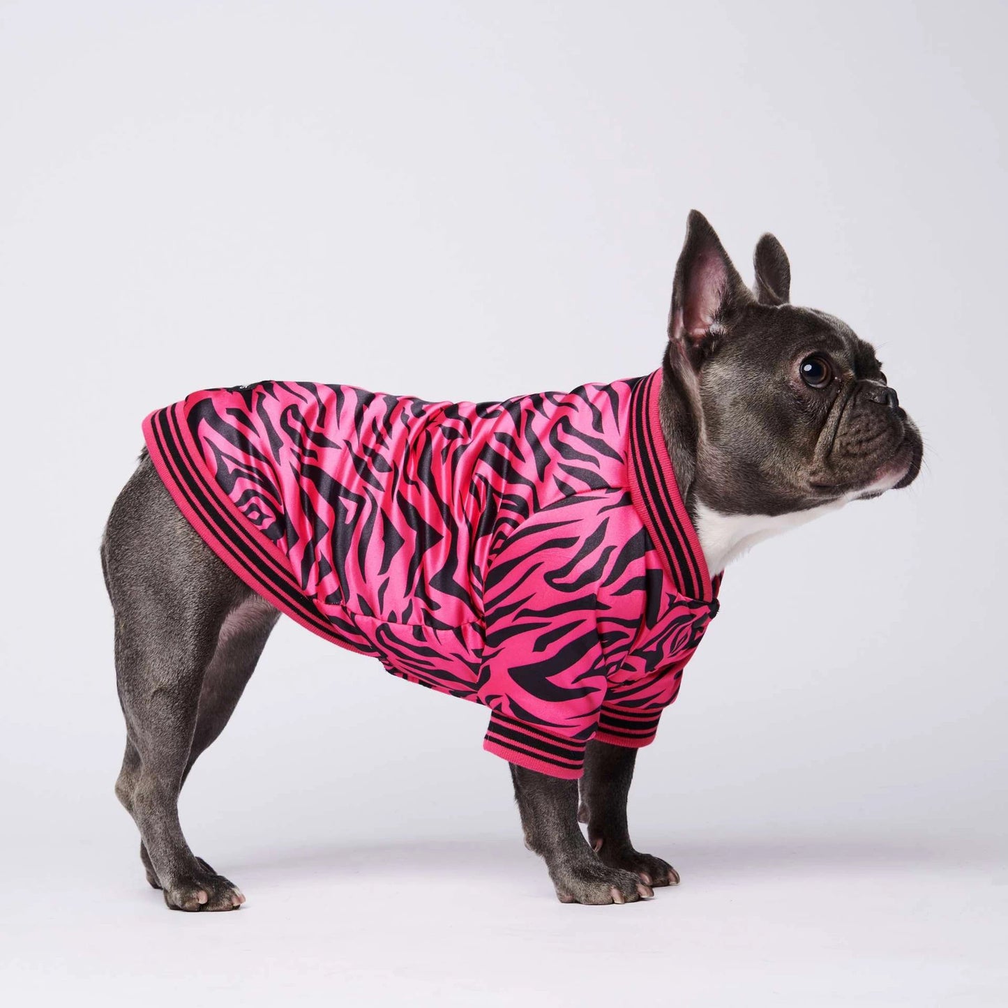 Cotton Pink Zebra Dog Jacket