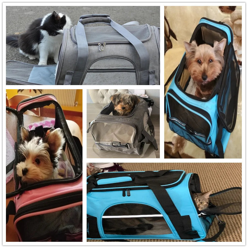Pet Dog Messenger Carrier Travel Bag sold by Poopy and Poops General Pet Store poppyandpoops.ca