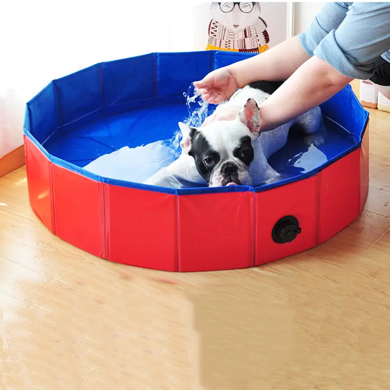 Foldable Summer Cooling Bathing Pool sold by Poopy and Poops General Pet Store poppyandpoops.ca
