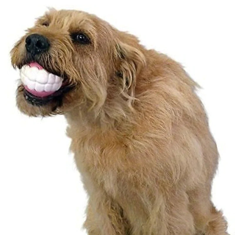 Pet Ball Teeth Silicon Chew Toys for Large Dog Breeds sold by Poopy and Poops General Pet Store poppyandpoops.ca