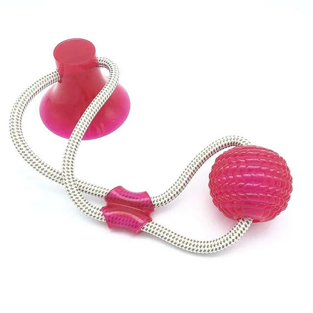 Pet Dog Toys Silicon Suction Cup Style C 1 sold by Poopy and Poops General Pet Store poppyandpoops.ca