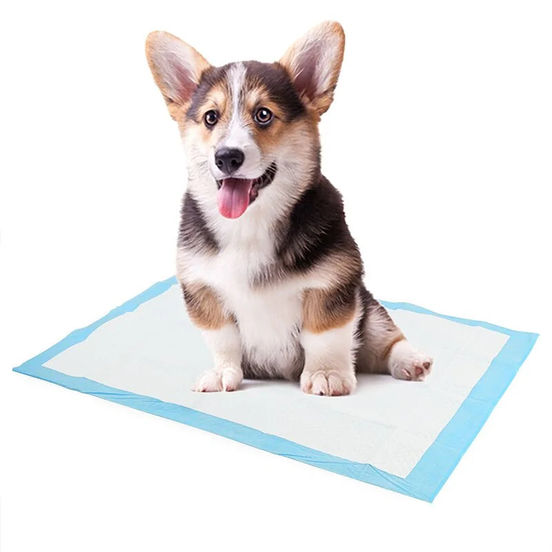 Super Absorbent Pet Diaper Dog Training Pee Pads sold by Poopy and Poops General Pet Store poppyandpoops.ca