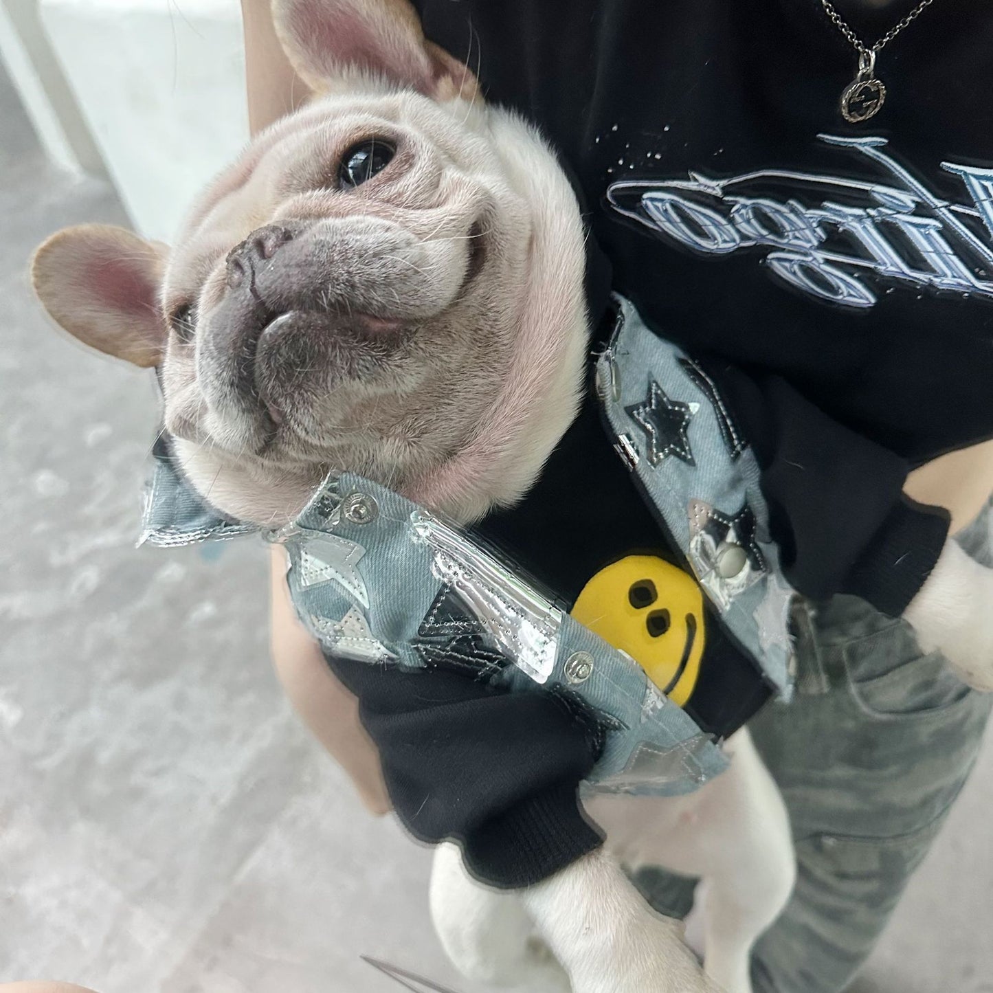 Pet Dog Summer Denim Vest Jacket