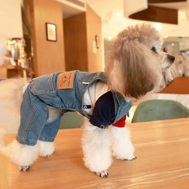 Denim Pet Dog Clothes Jumpsuits sold by Poopy and Poops General Pet Store poppyandpoops.ca