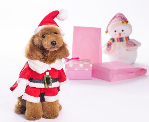 Christmas Santa and Elf Pet Dog Costume