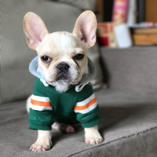 Grandy and D Football Champion Hoodie in Red and Green