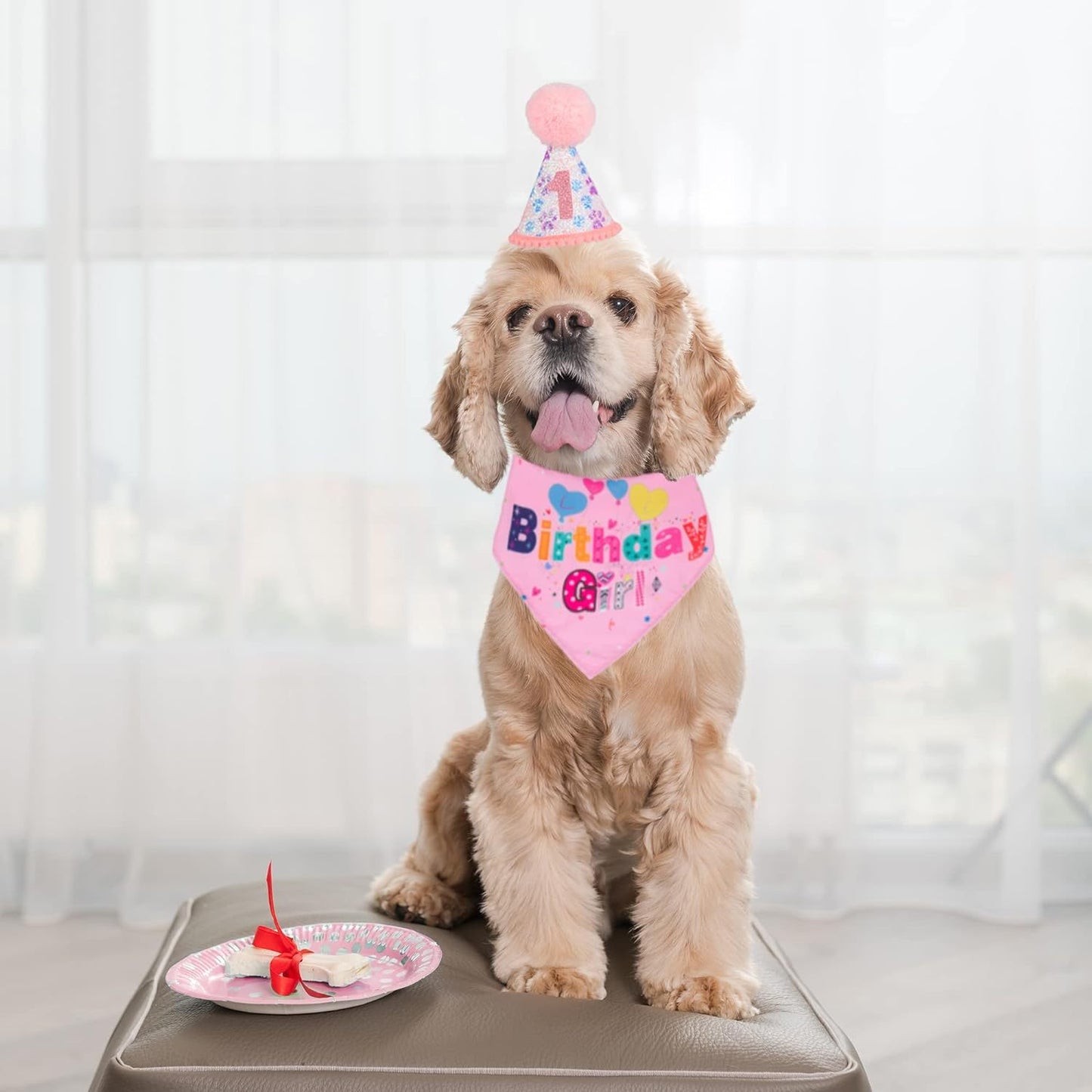 Dog Birthday Party Supplies Banner, Hat, Bandana, Bow