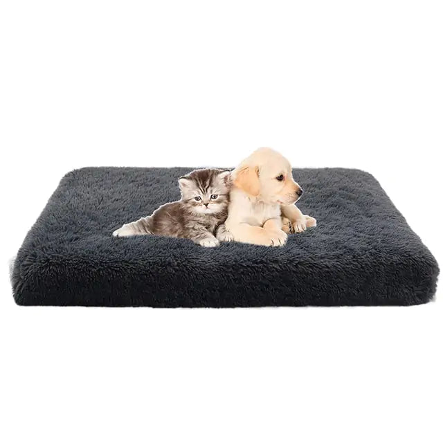 Plush Washable Dog Bed Dark Grey Extra Large sold by Poopy and Poops General Pet Store poppyandpoops.ca