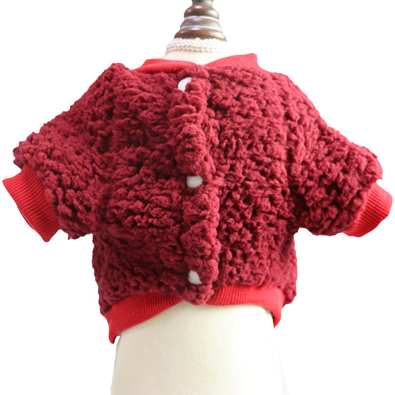 Thick Teddy Bear Wool Dog Coat in Red Blue Pink and Brown