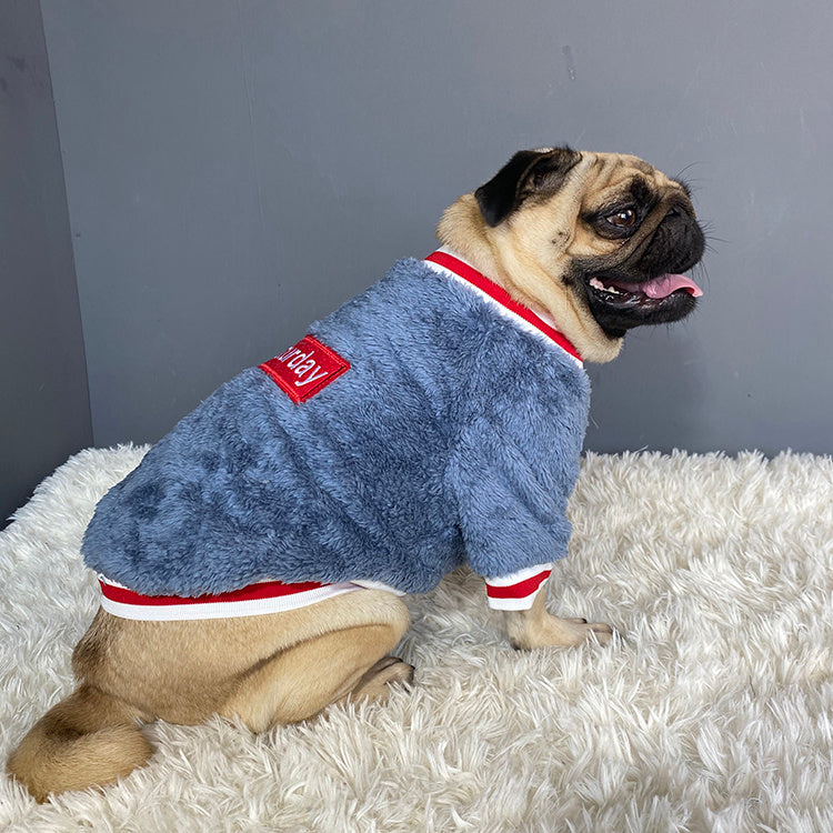 Saturday Cotton Dog Pet Sweater in Blue