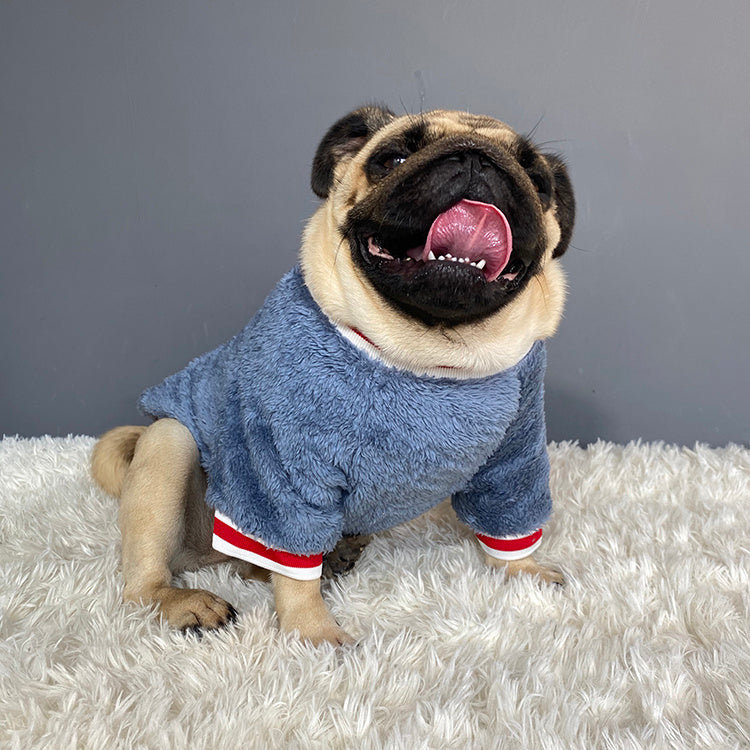 Saturday Cotton Dog Pet Sweater in Blue