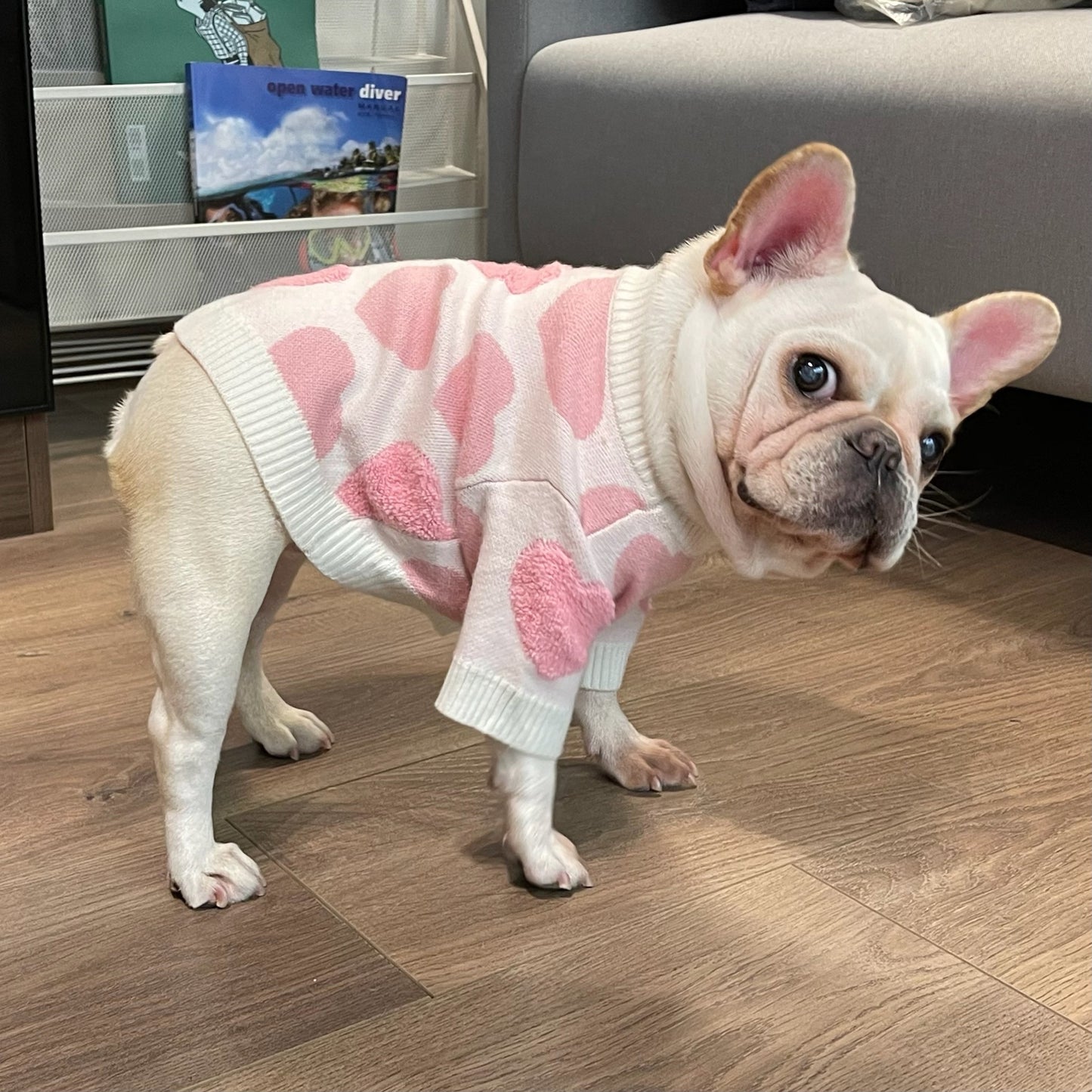 Pink Heart Print Wool Dog Sweater in White