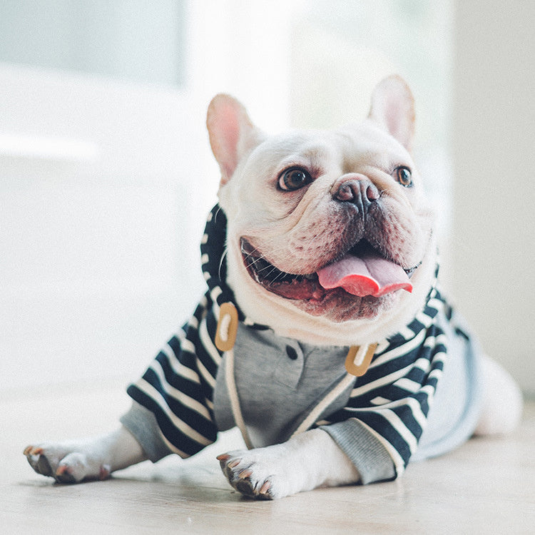 Cotton Red and Blue Striped Dog hooded