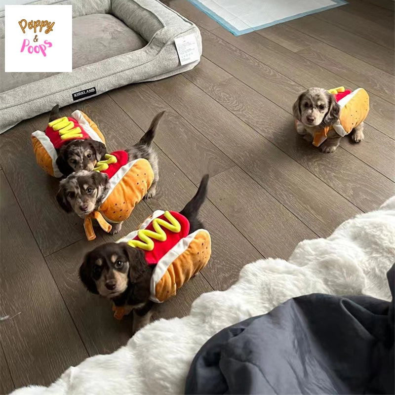 Matching Hot Dog Shaped Dachshund Costume sold by Poopy and Poops General Pet Store poppyandpoops.ca