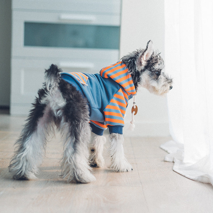 Cotton Red and Blue Striped Dog hooded