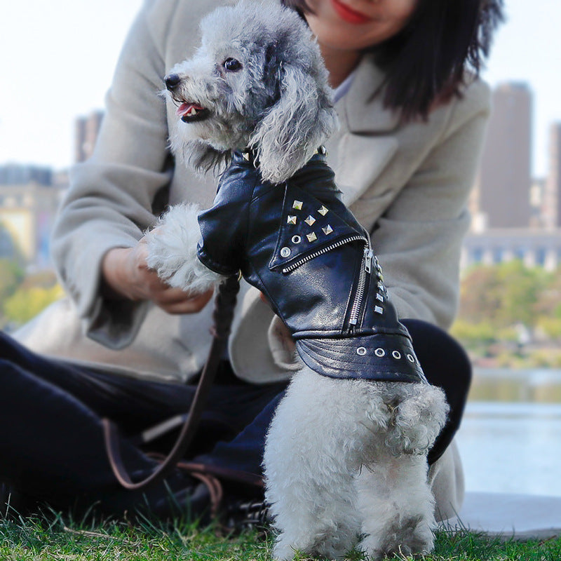 Pet Dog 80's Retro Faux Leather Jacket