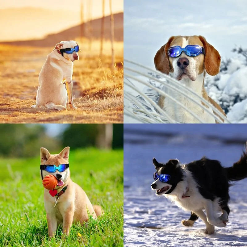 UV Protection Dog Sunglasses sold by Poopy and Poops General Pet Store poppyandpoops.ca