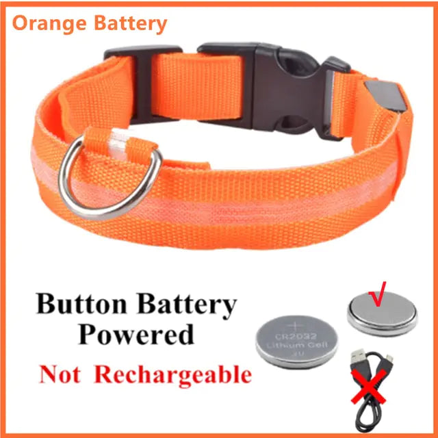 Glowing Dog Collar Orange ButtonBattery Small Neck 34-41 CM rubber sold by Poopy and Poops General Pet Store poppyandpoops.ca