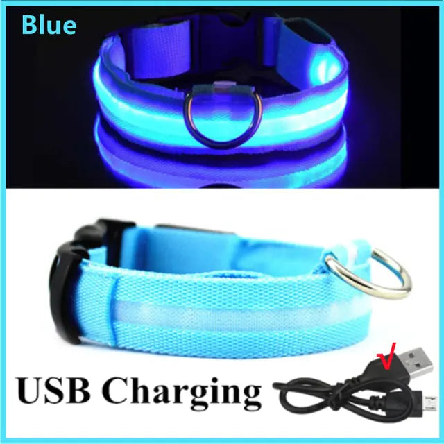 Glowing Dog Collar Blue USB Charging Extra Large Neck 42-56 CM rubber sold by Poopy and Poops General Pet Store poppyandpoops.ca