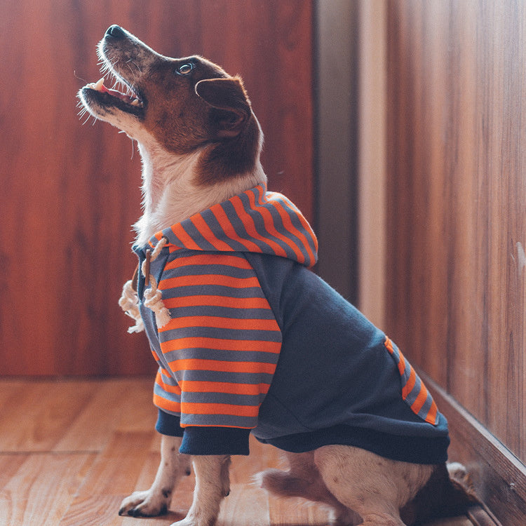 Cotton Red and Blue Striped Dog hooded