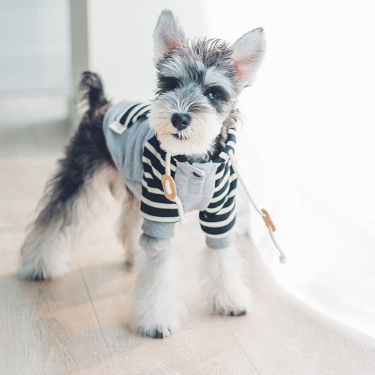 Cotton Red and Blue Striped Dog hooded