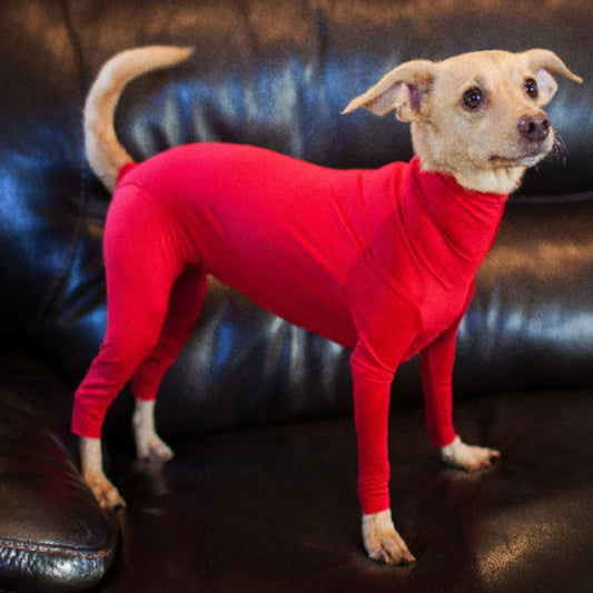 Dog Long John Base Layer Pajama in Red Black Pink Blue and Purple