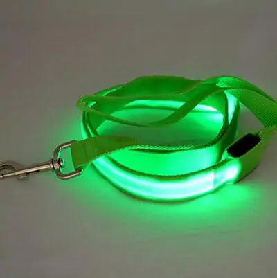 Glow In Dark Dog Leash sold by Poopy and Poops General Pet Store poppyandpoops.ca