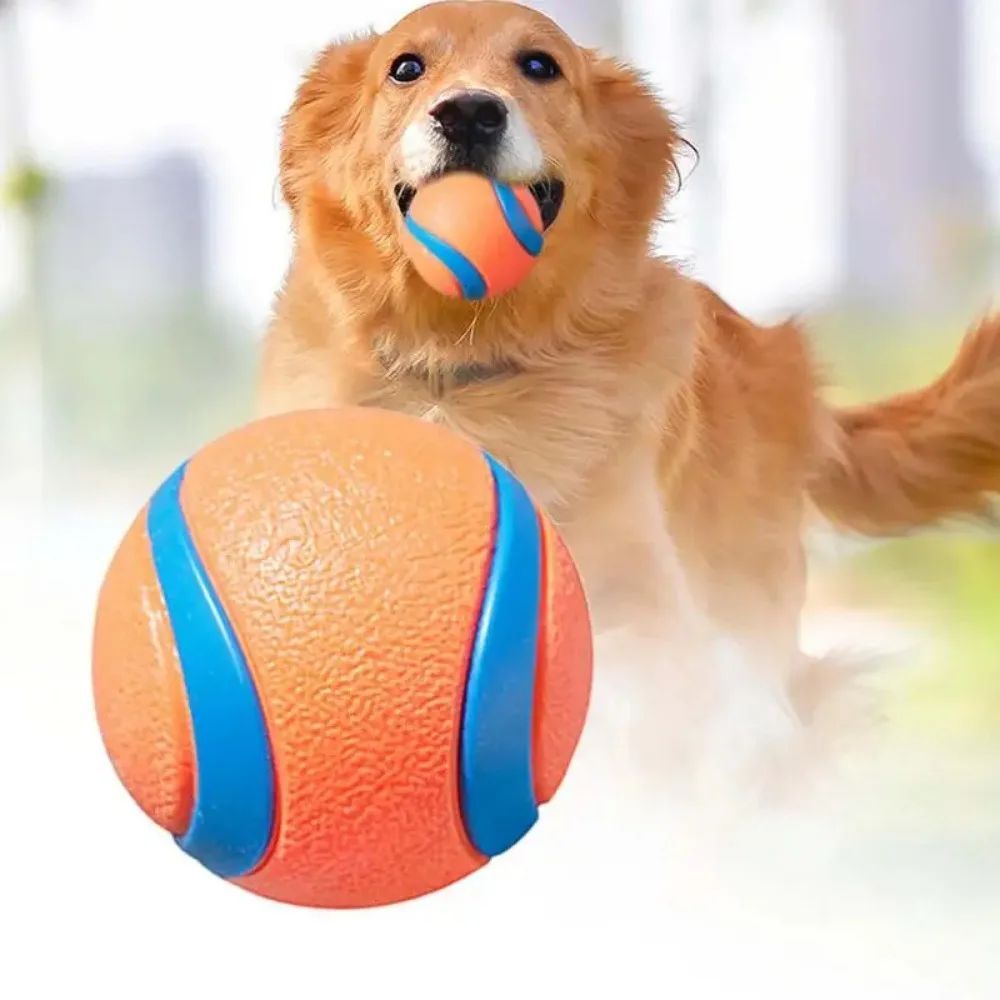 Rubber Dog Ball for Medium to Small Dogs in Orange