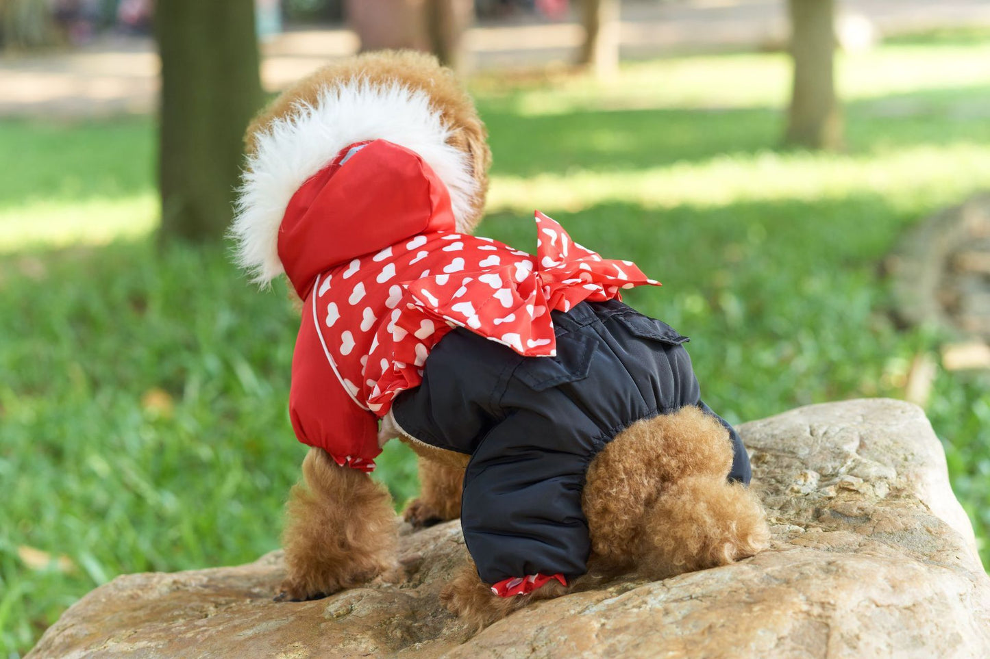 White Heart Print Bow Snow Suit in Red and Blue