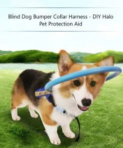 Blind Dog Bumper Collar Harness sold by Poopy and Poops General Pet Store poppyandpoops.ca