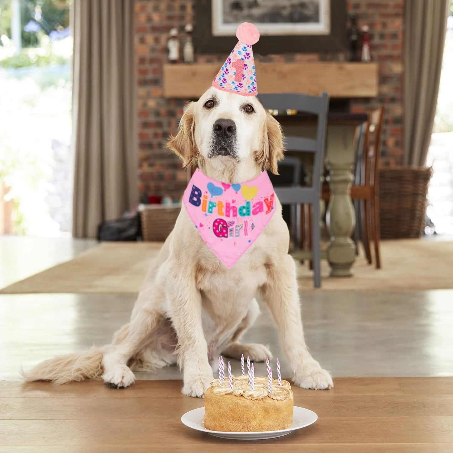 Dog Birthday Party Supplies Banner, Hat, Bandana, Bow