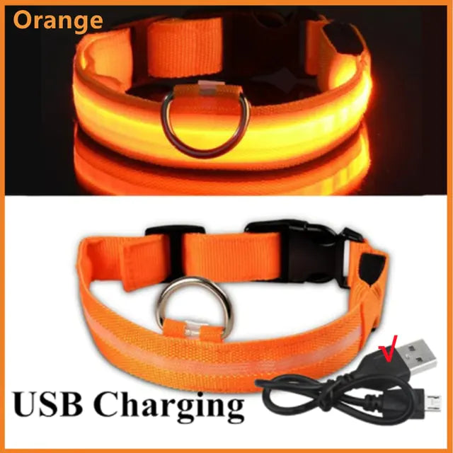 Glowing Dog Collar Orange USB Charging Extra Extra Large Neck 43-62 CM rubber sold by Poopy and Poops General Pet Store poppyandpoops.ca