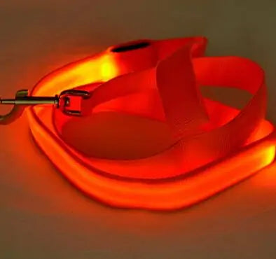 Glow In Dark Dog Leash Red sold by Poopy and Poops General Pet Store poppyandpoops.ca