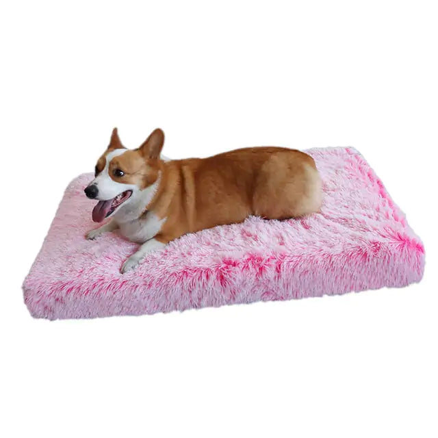 Plush Washable Dog Bed Pink Large sold by Poopy and Poops General Pet Store poppyandpoops.ca