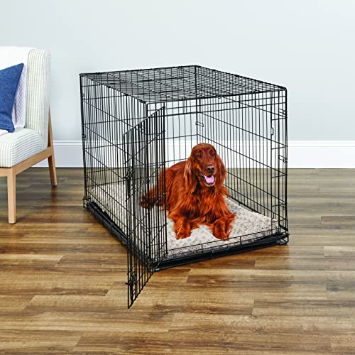 Folding Metal Dog Crate; Double Door 30" by New World Pet Products in Black