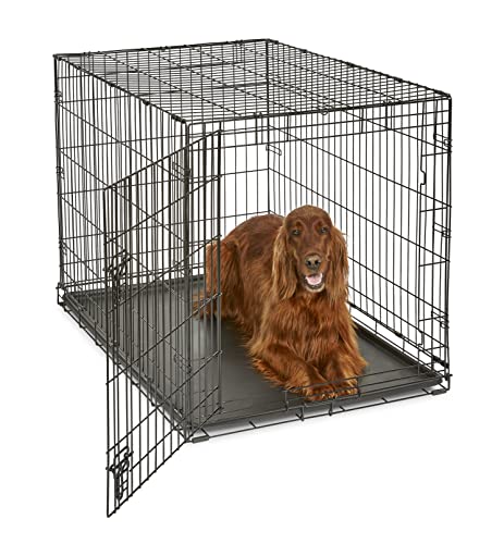 Folding Metal Dog Crate; Double Door 30" by New World Pet Products in Black