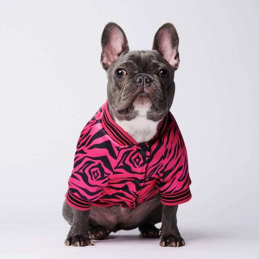 Cotton Pink Zebra Dog Jacket