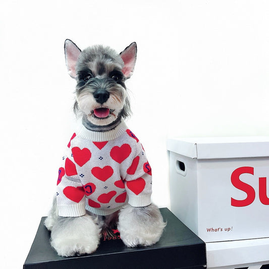 Red Heart Print Wool Dog Sweater in White