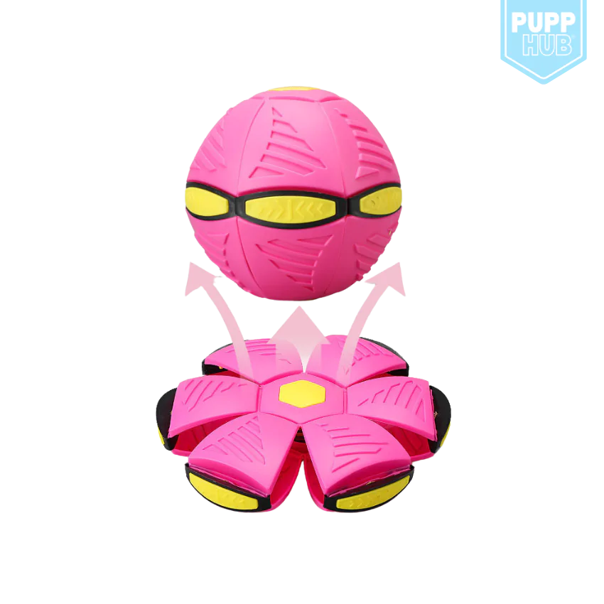 Flippit Interactive Dog Toy Pink With Lights sold by Poopy and Poops General Pet Store poppyandpoops.ca