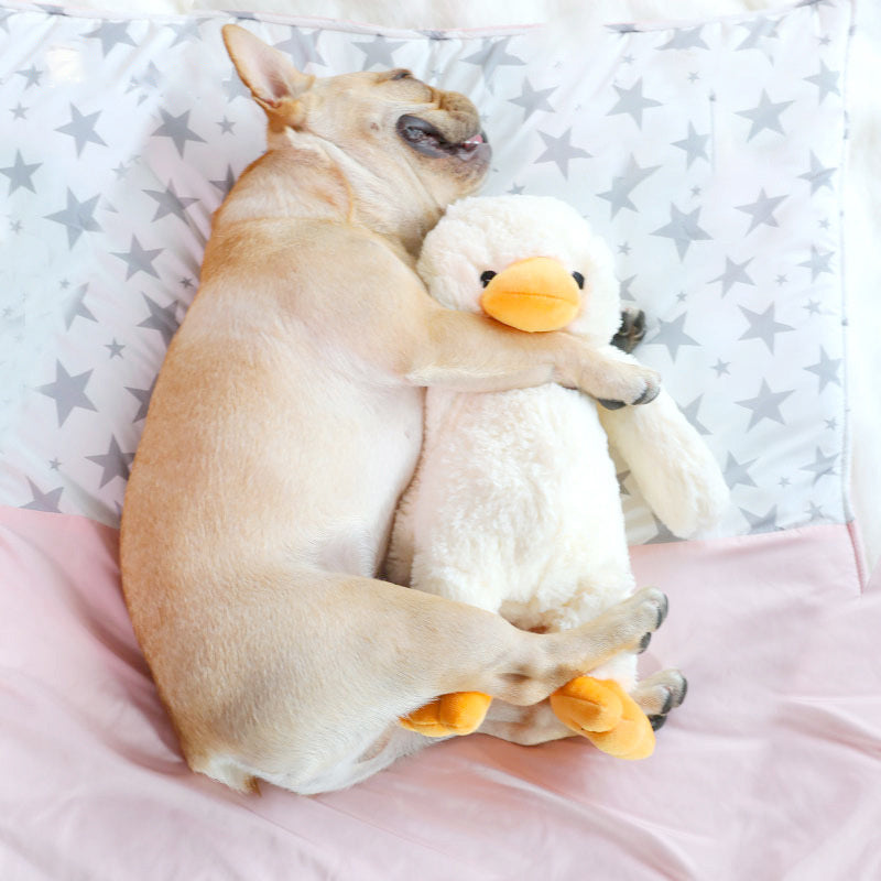 Cuddly Plush Ducky Squeaky Dog Toy in (S) 9.5 Inch and (L) 14 inch