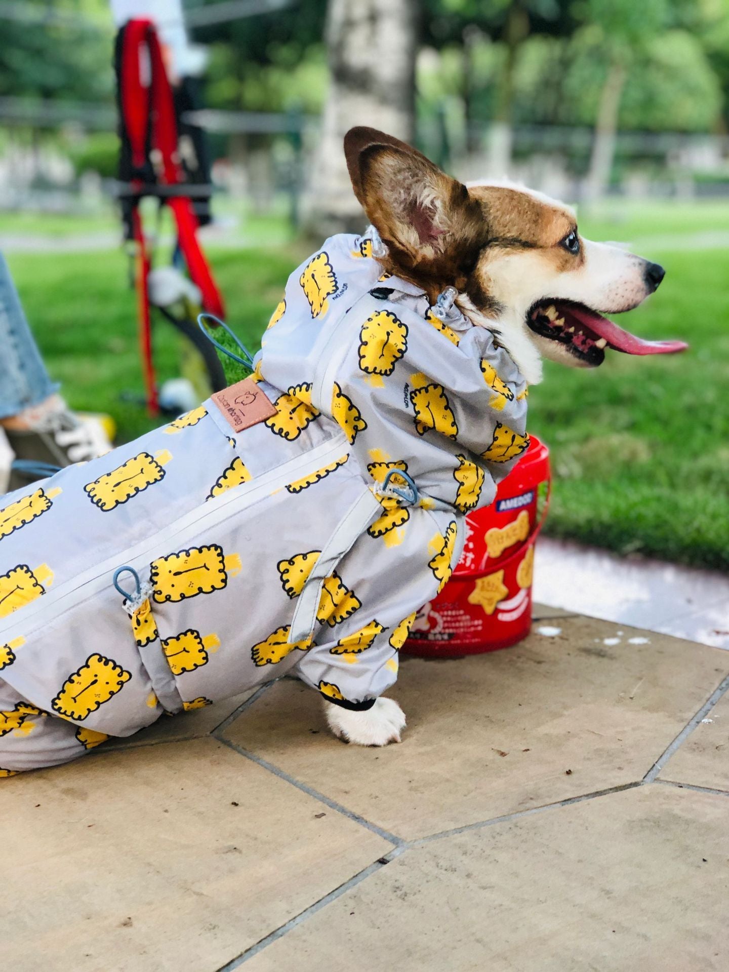 Short Leg Captain Golden Retriever Corgi Fully Wrapped Waterproof Raincoat Four-legged Dog Clothes