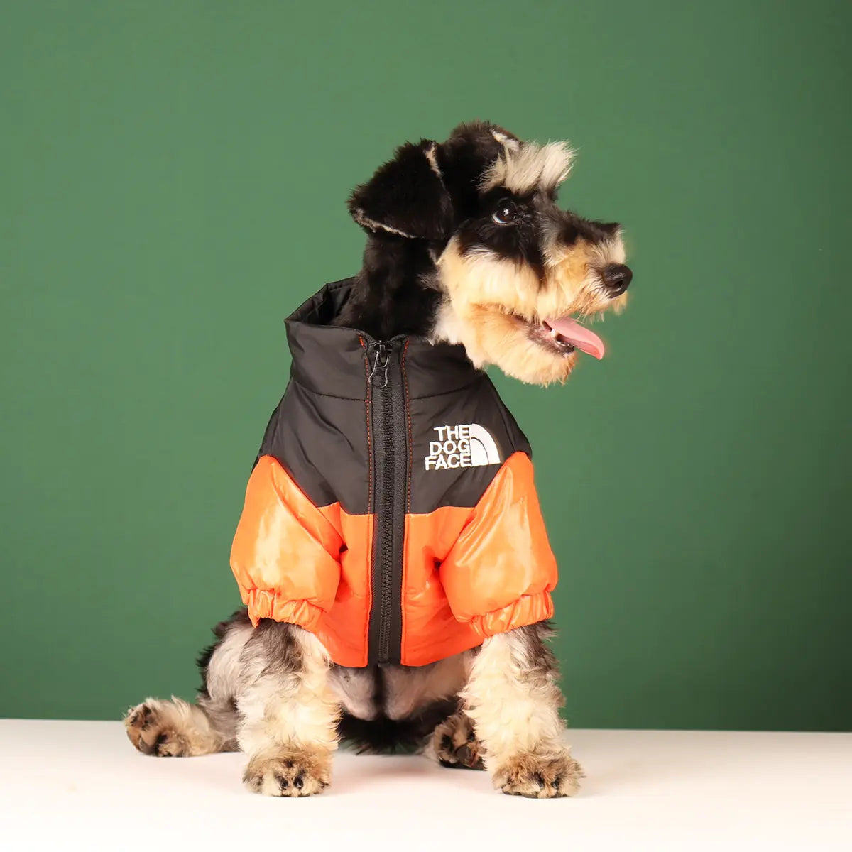 Warm Windproof Winter Dog Clothes sold by Poopy and Poops General Pet Store poppyandpoops.ca