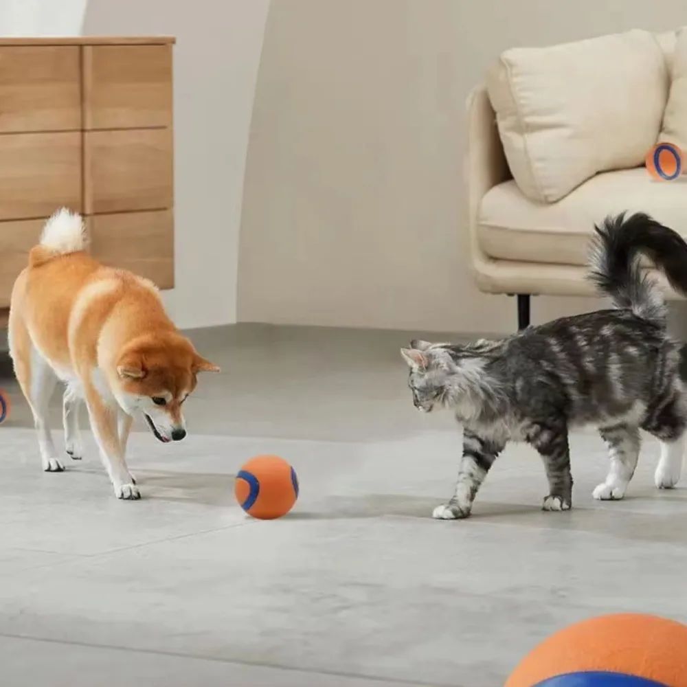 Rubber Dog Ball for Medium to Small Dogs in Orange