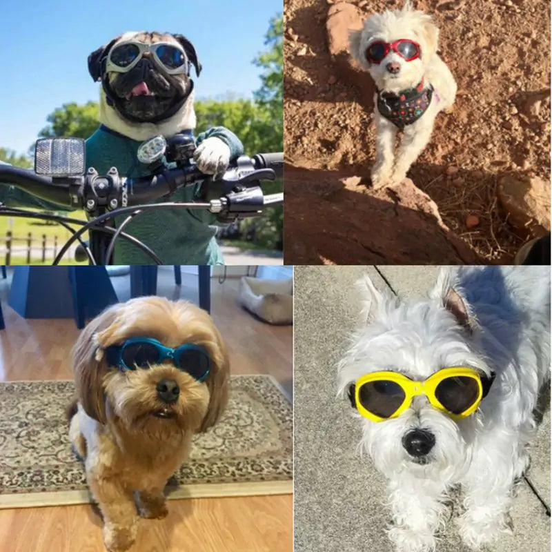 Dog Sunglasses sold by Poopy and Poops General Pet Store poppyandpoops.ca